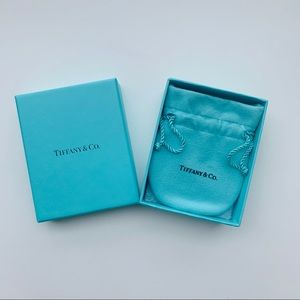 Tiffany & Co box & dust bag